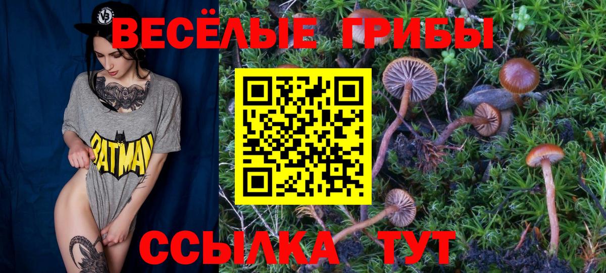 Кизилюрт  Псилоцибиновые грибы прущие грибы  Вход с VPN 